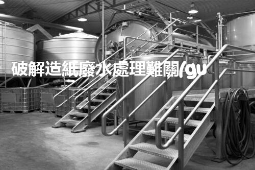 破解造紙廢水處理難關(guān)？探尋可持續(xù)發(fā)展之路！